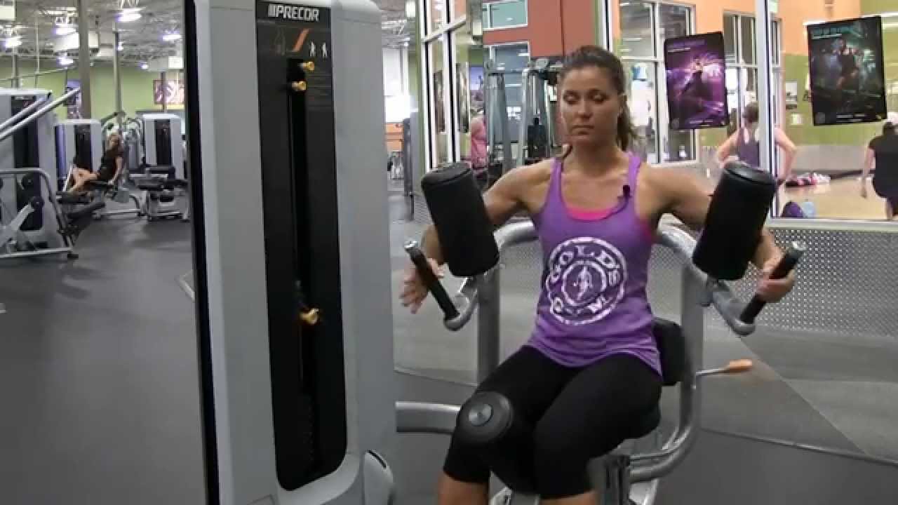 Rotary Torso Machine