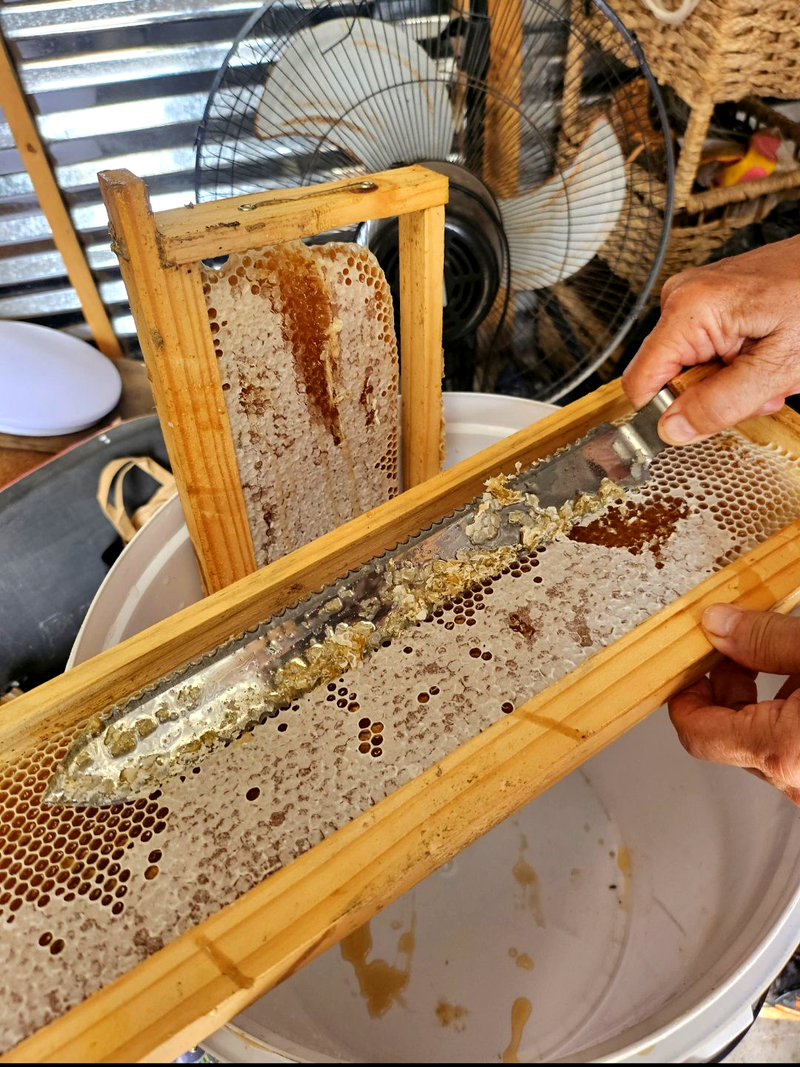 Our own Bee Hives & Honey