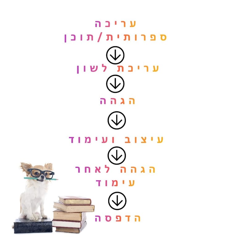 באיזה שלב של הכתיבה צריך עורך לשון?