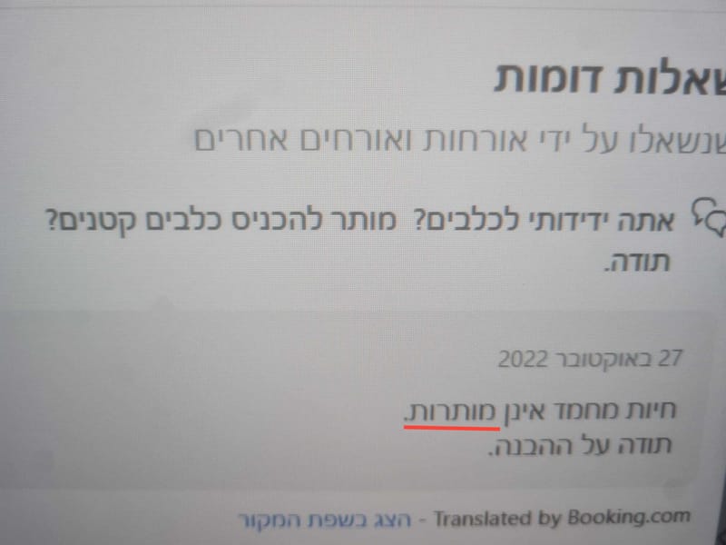 בסך הכול חיפשתי בית מלון לסופ"ש...