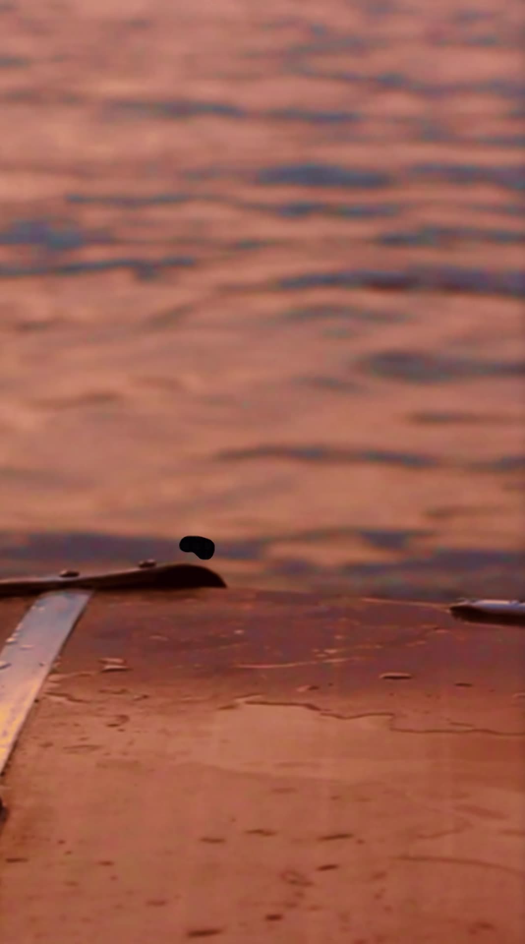 Pscila’s Lunatic - EP Release