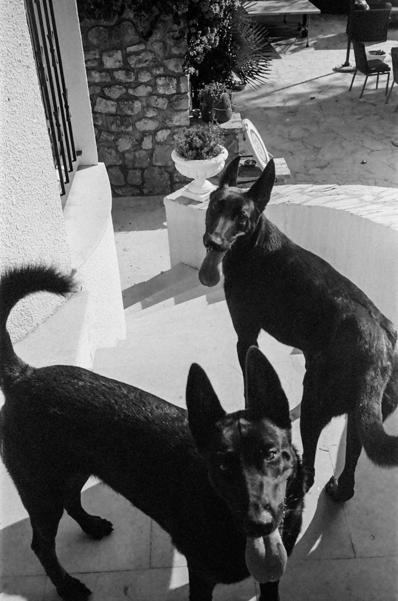 Shot with Ilford HP5 Black and White Plus 400 (35mm)