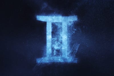 Portrait du Gémeaux