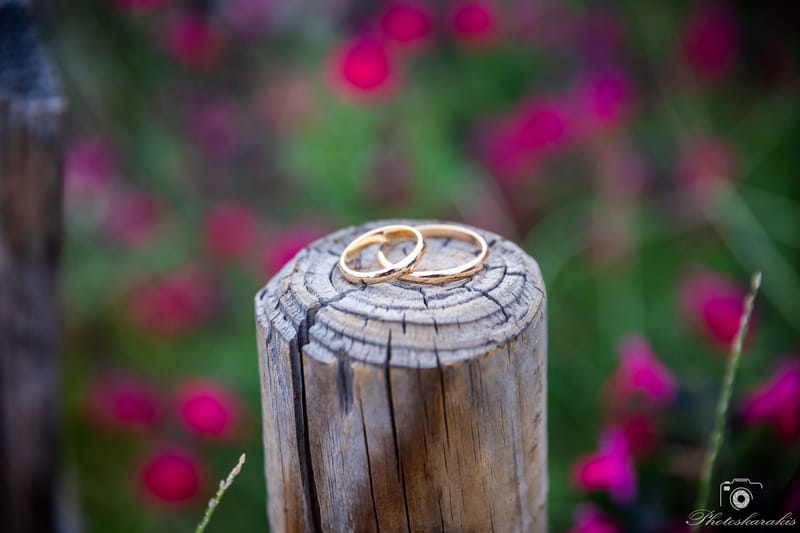 Γάμος Φώτης Ανθή