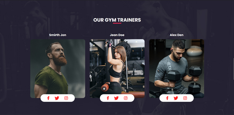  FitFusion Gym Management System 