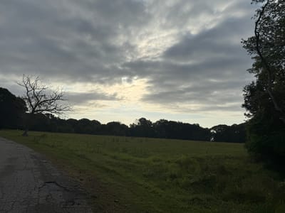 الغيب في القرآن الكريم