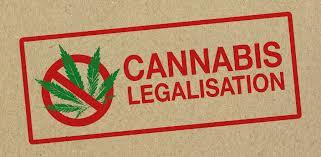 Cannabis Food Products in South Africa:A ban, a backtrack, and the bigger Picture