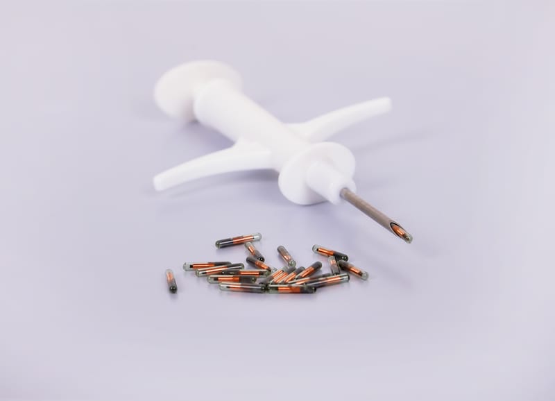 Microchipping