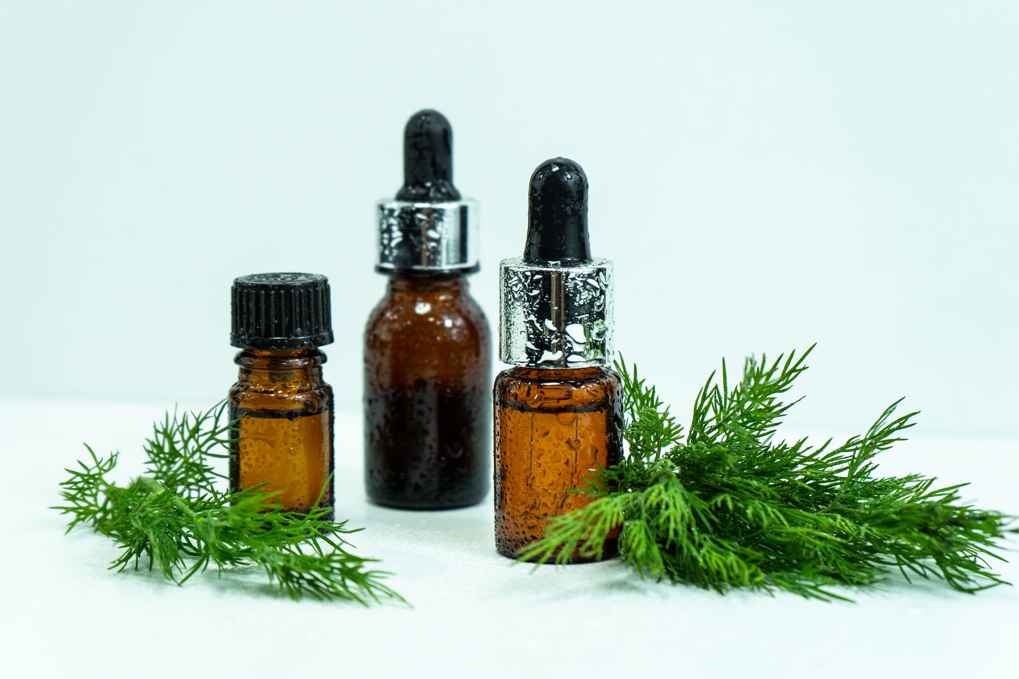 Dill Oil - Egypt