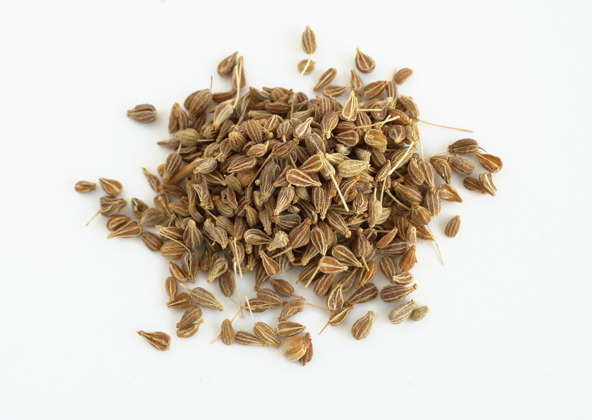ANISE SEEDS