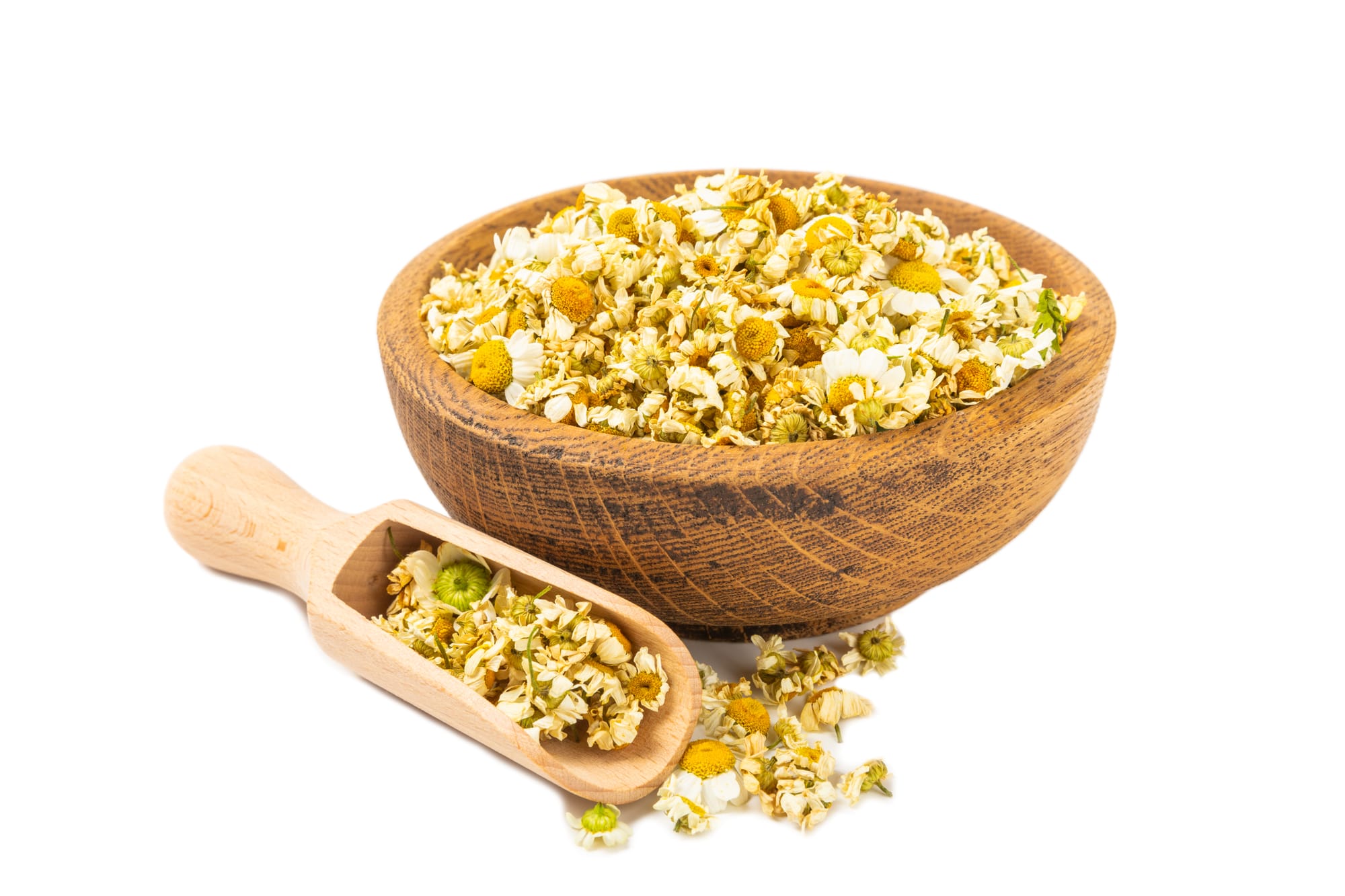 Chamomile Hydrosol - Egypt