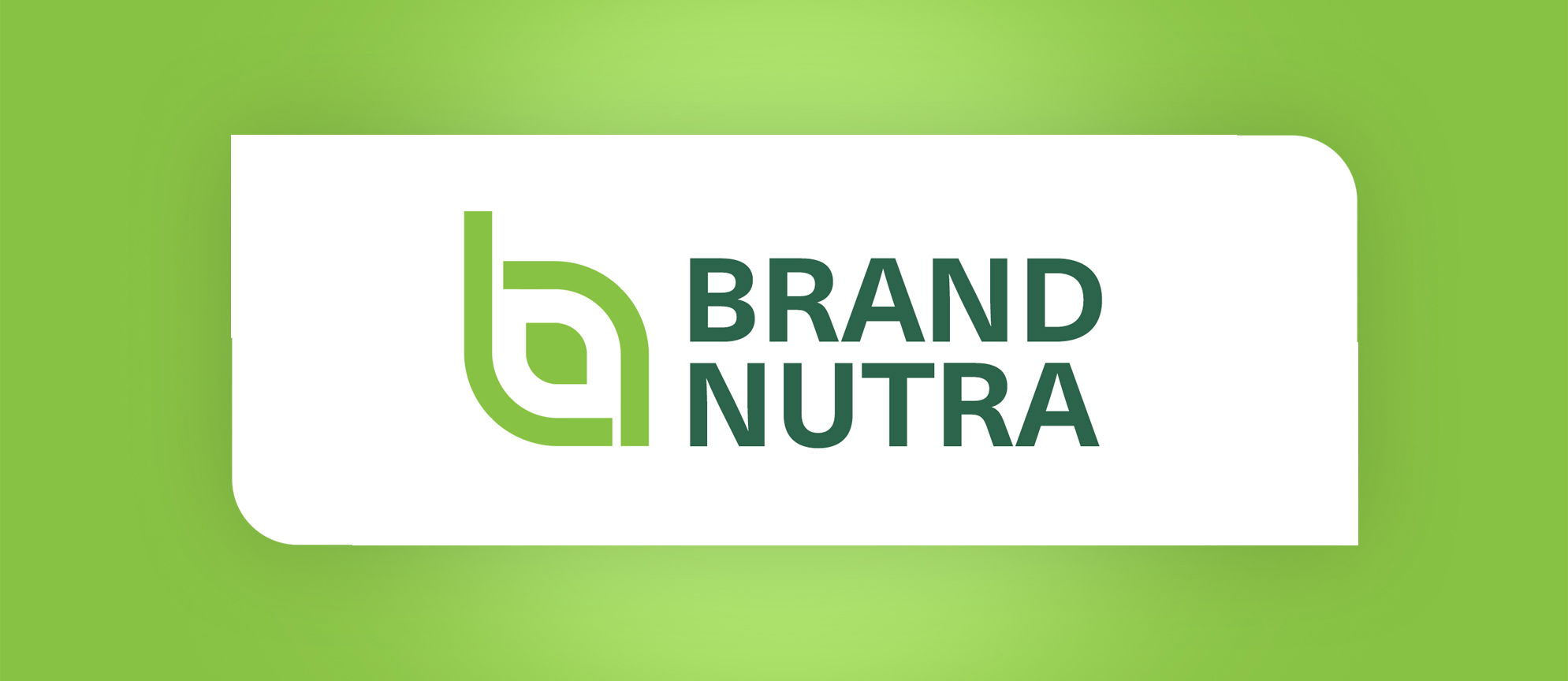 Brand Identity ✸ Logo Design ✸ Website Design Concept