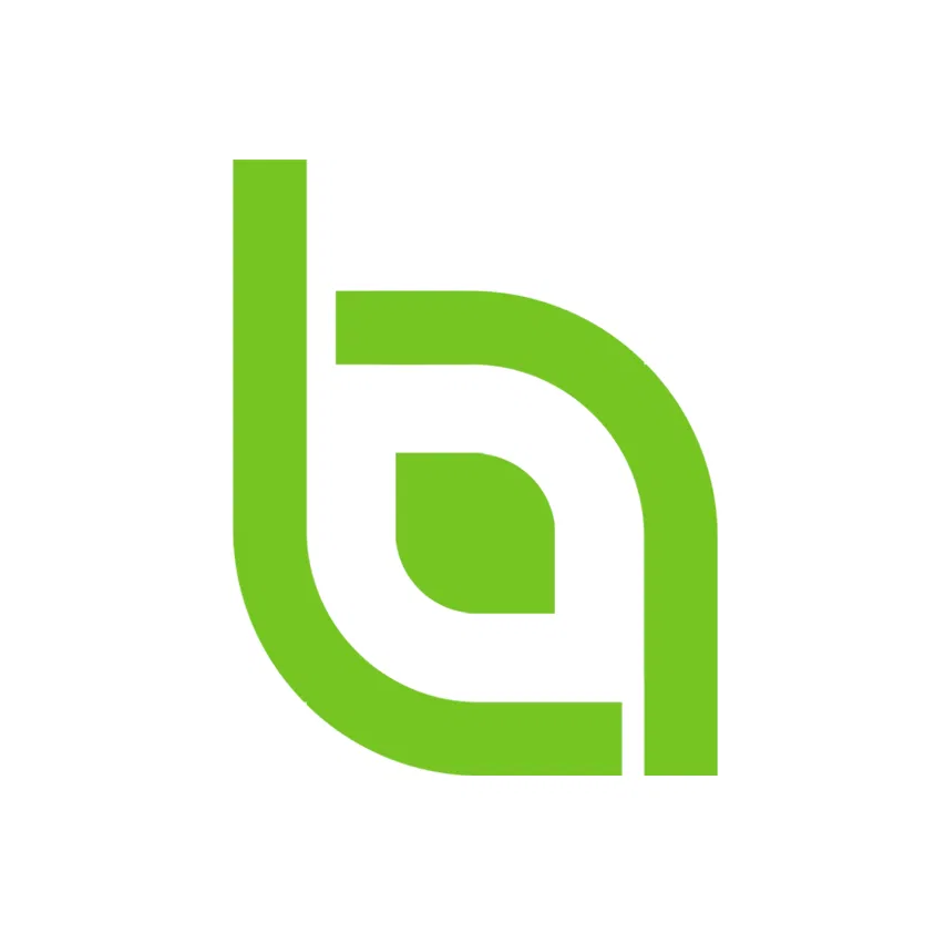 Brand Identity // Website Design