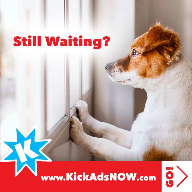 Video ✸ Social Media Ad Campaigns ✸ Google PPC Campaign