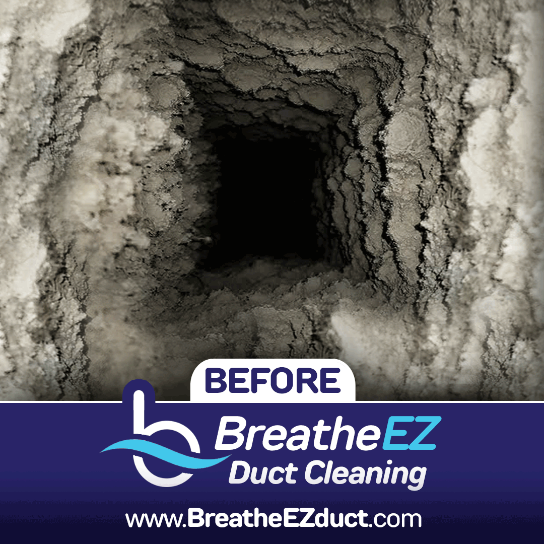 Brand Identity ✸ Logo Design ✸ Website Design ✸ Digital Marketing ✸ Vehicle Wrap Design ✸ Uniform Design ✸ Print Collateral ✸ Direct Mail