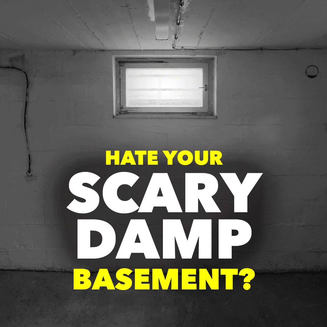 Brand Identity ✸ Social Media Campaigns