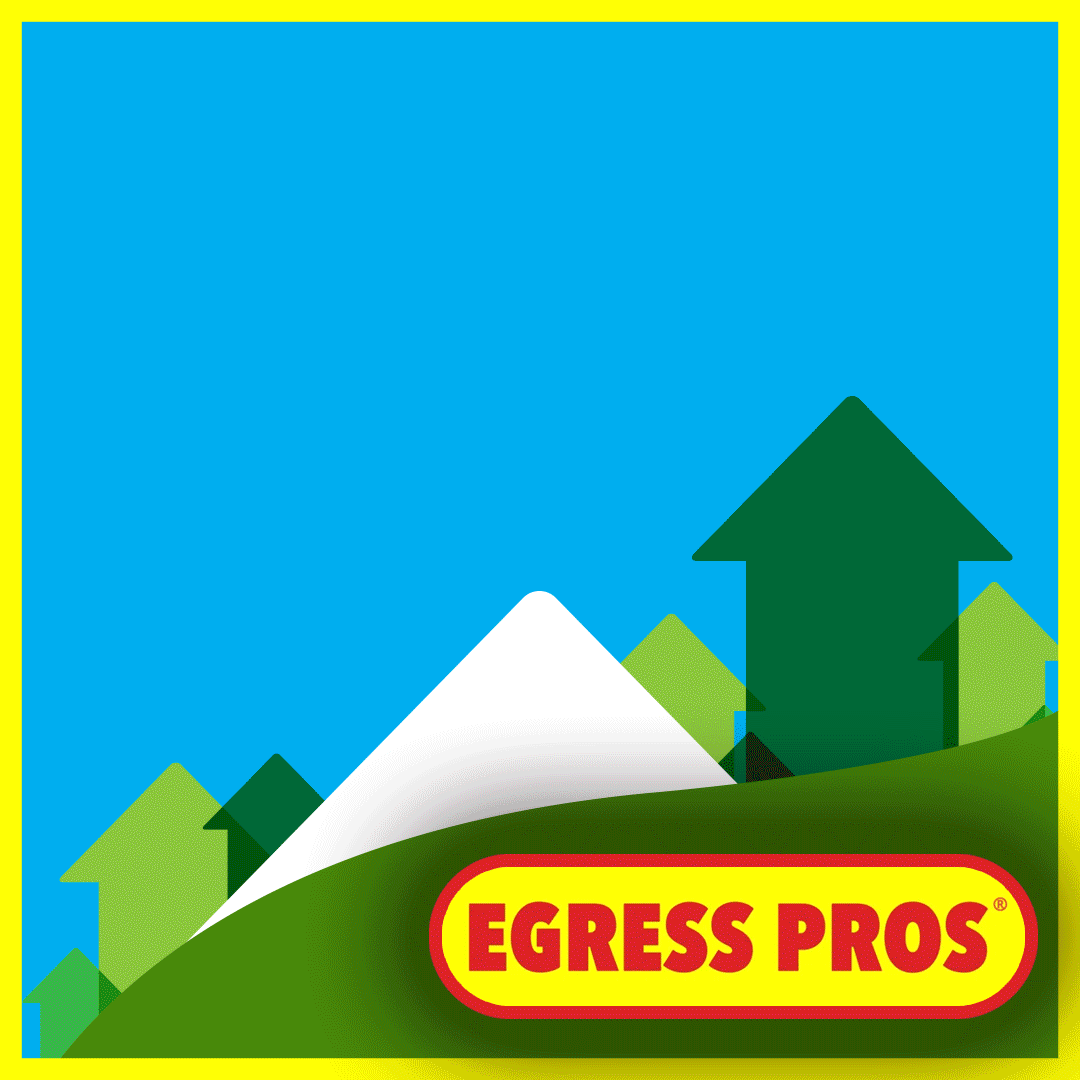 Brand Identity ✸ Social Media Campaigns