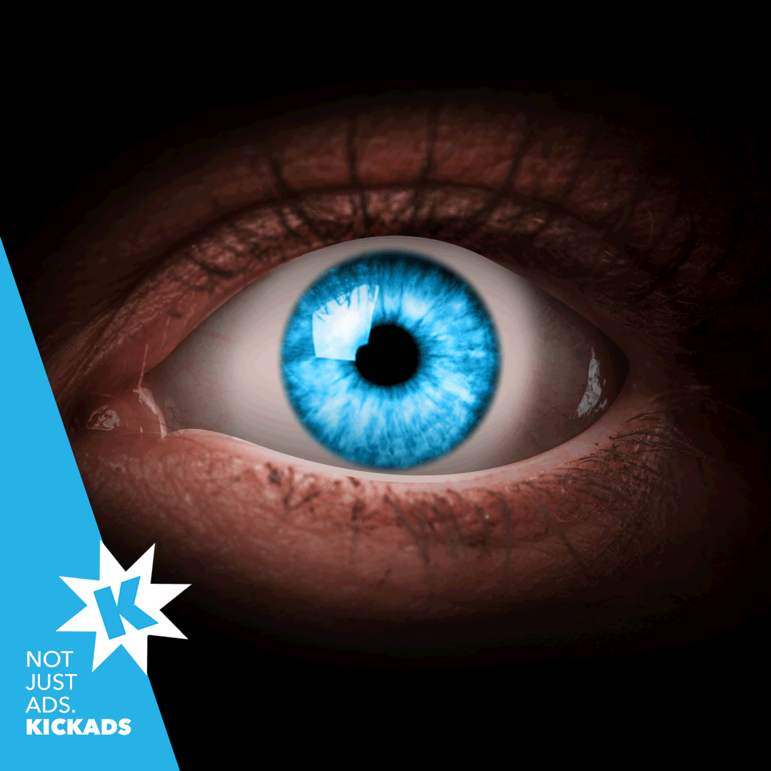 Video ✸ Social Media Ad Campaigns ✸ Google PPC Campaign