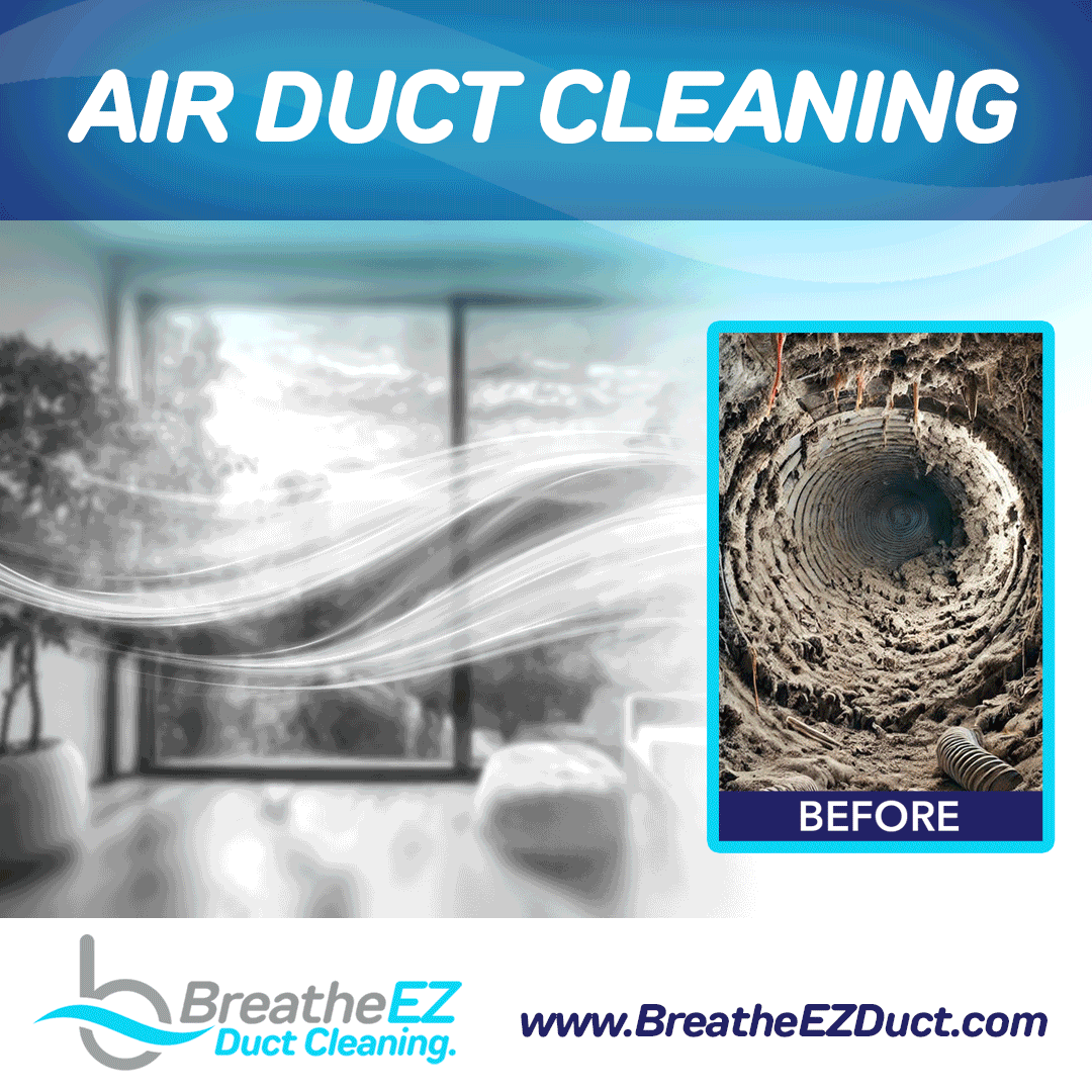 Social Media Campaigns