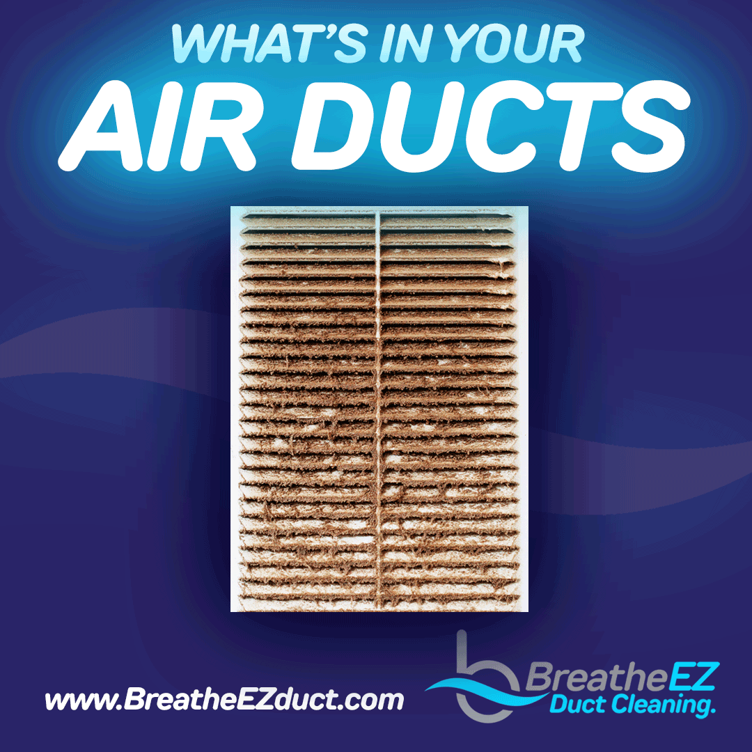 Social Media Campaigns