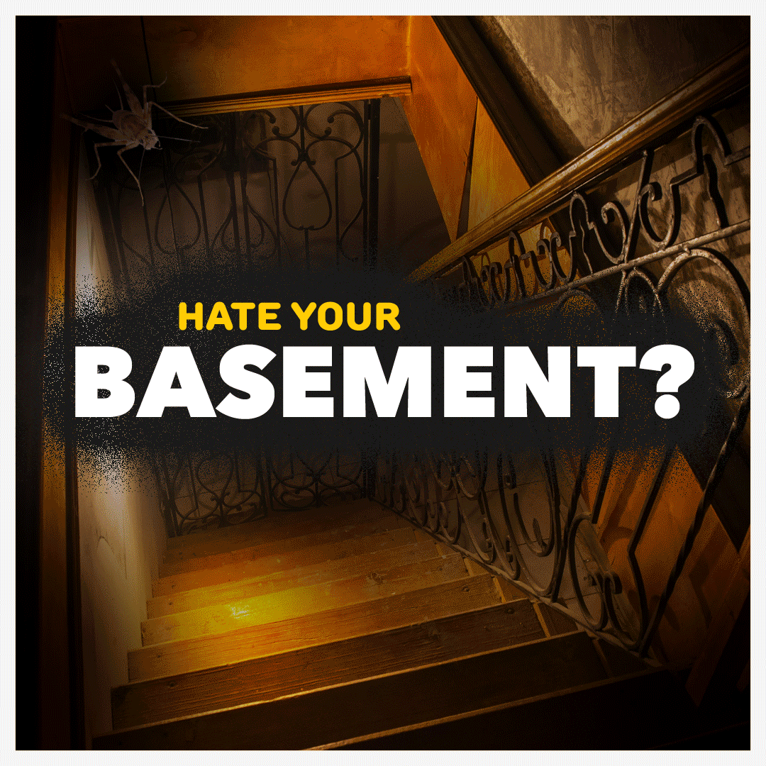 Brand Identity ✸ Social Media Campaigns