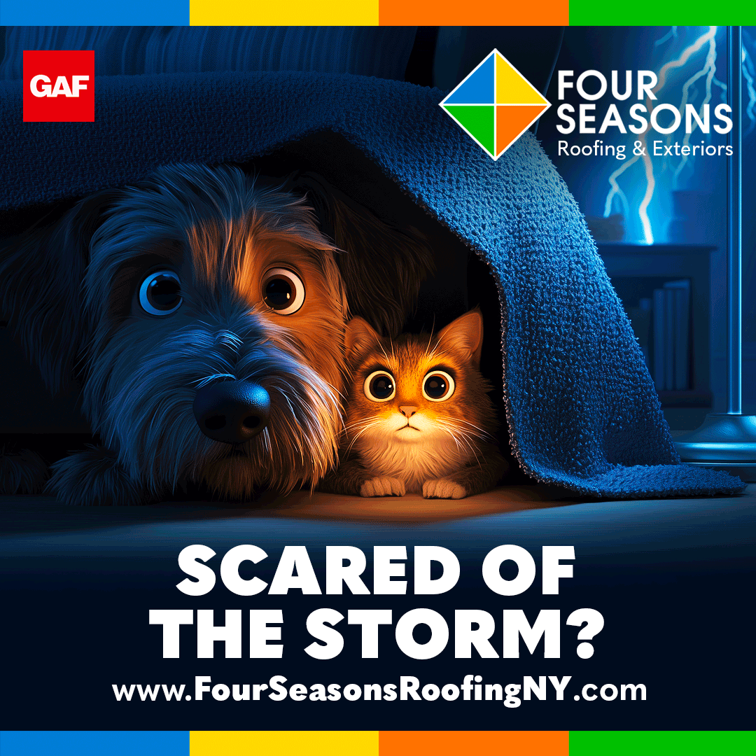 Brand Identity // Website Design // Digital Marketing