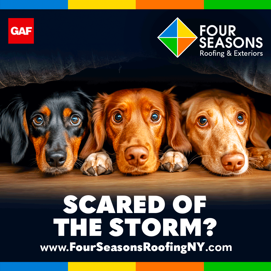 Brand Identity // Website Design // Digital Marketing