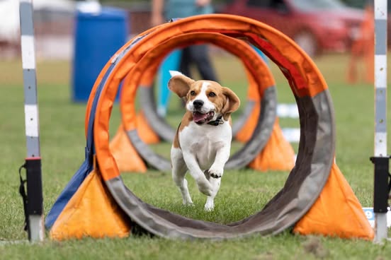 Hoopers Workshop SATURDAY 28 March 2026