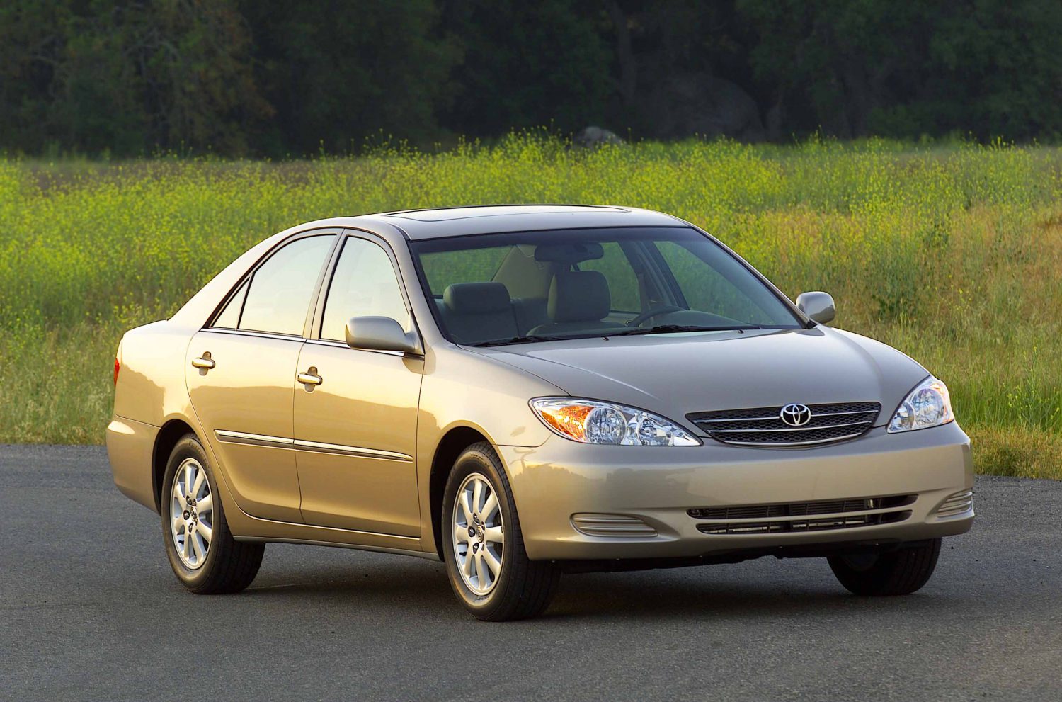 2002-2006 CAMRY Big Daddy _XLE Via Toyota.