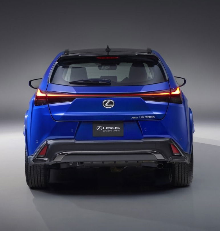 2025 Lexus UX 300h rear.