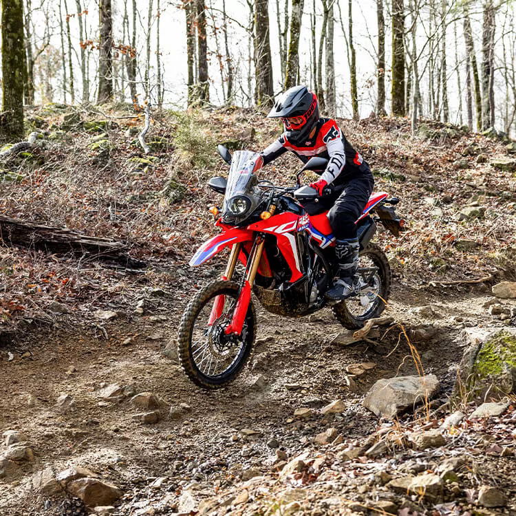 2024  CRF300 Rally.