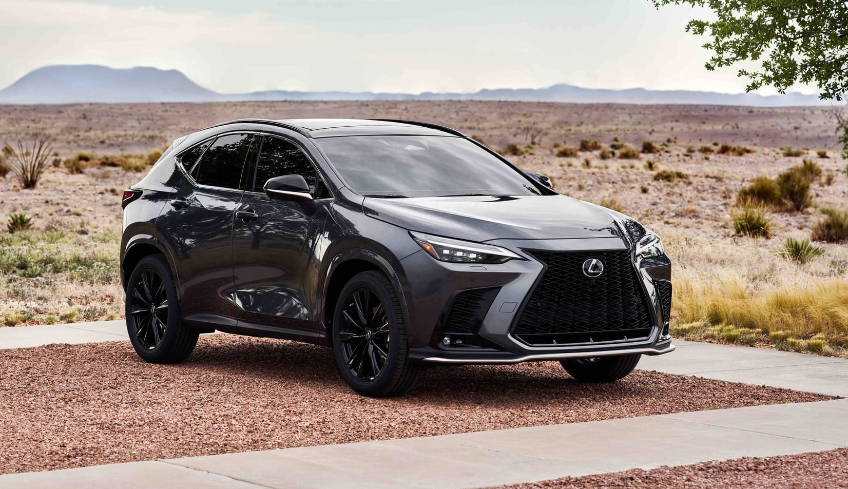 2025 Lexus NX 350 F SPORT.