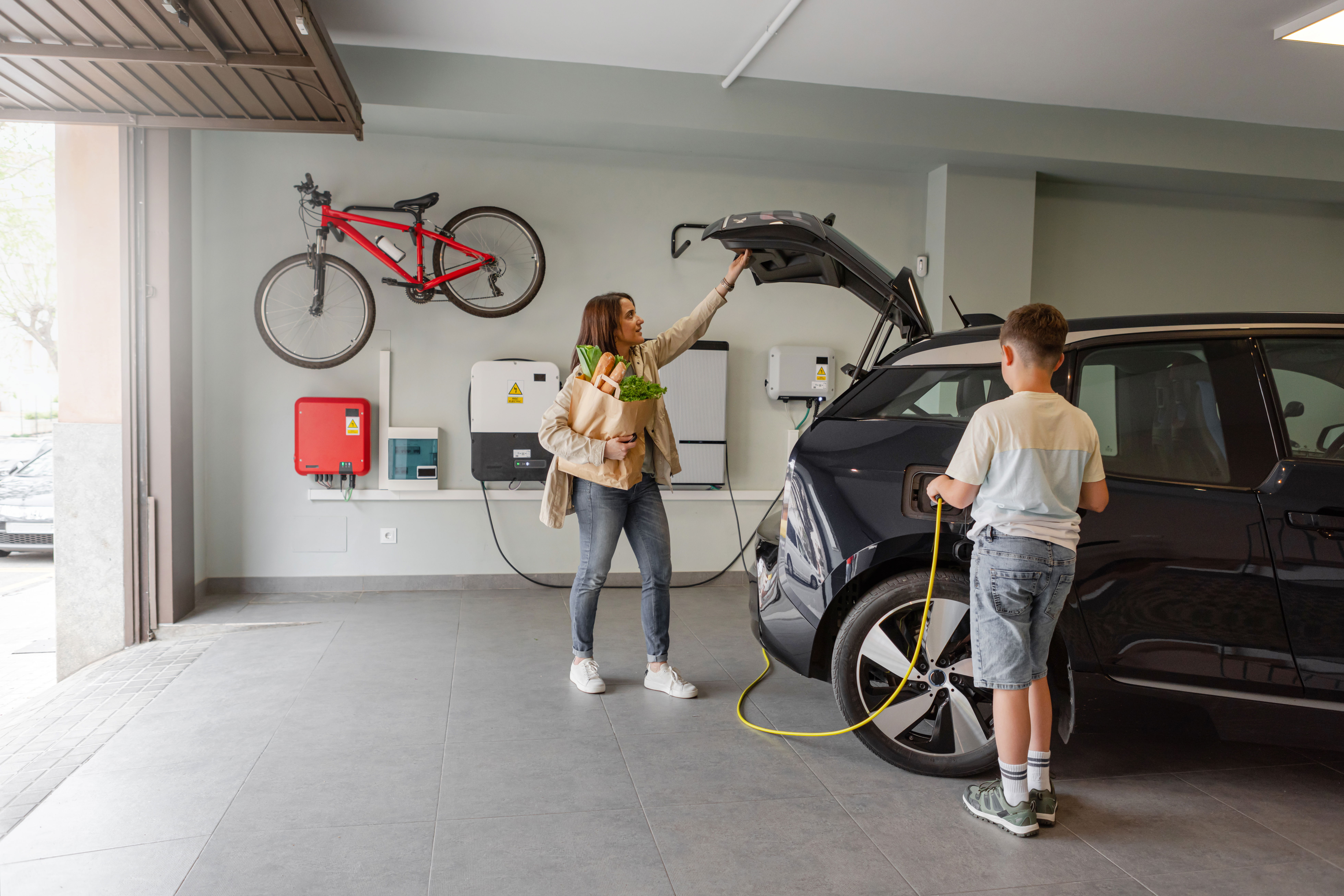 What Is EVs? Understanding the Basics.