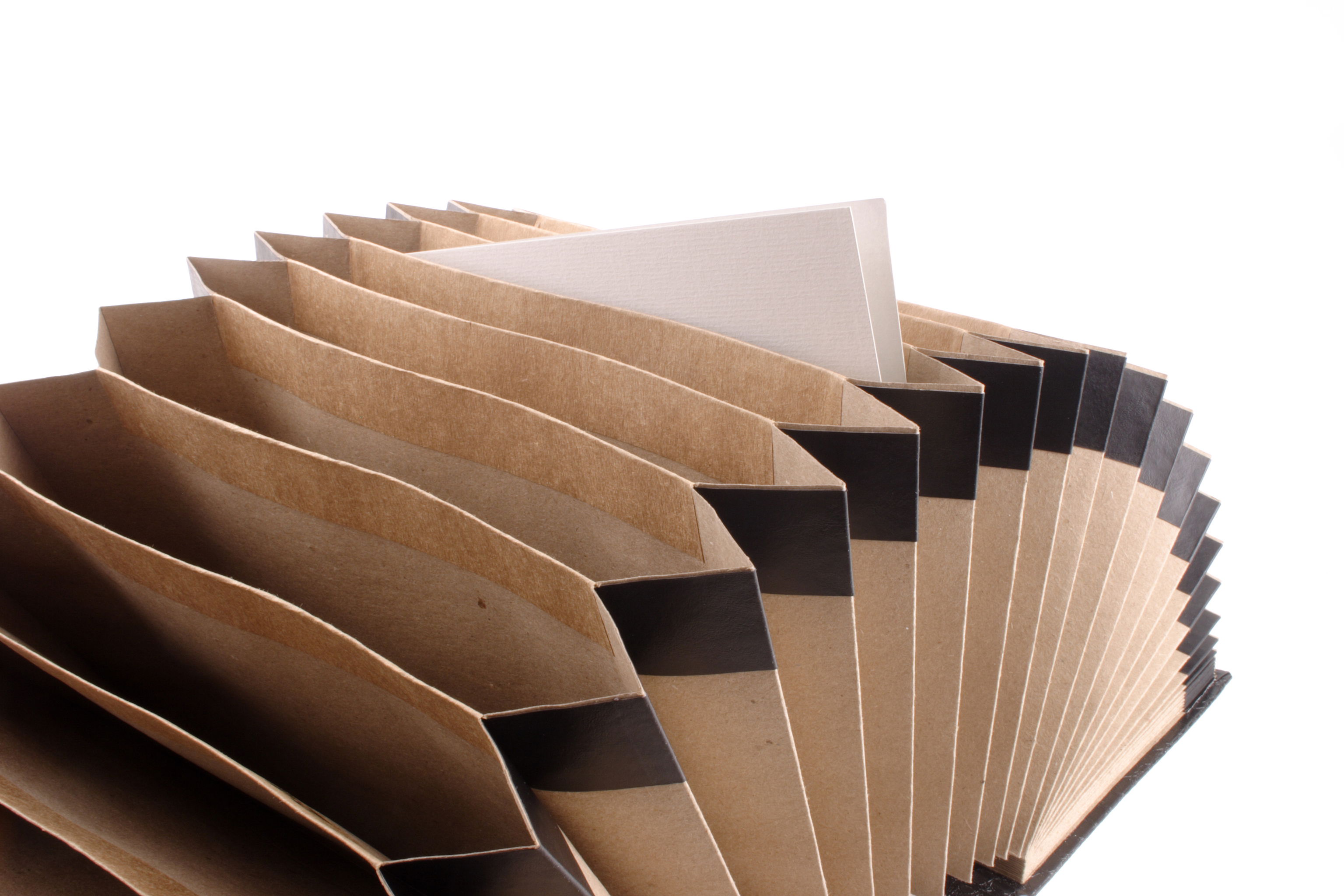 Road trip essentials: documents organizer.