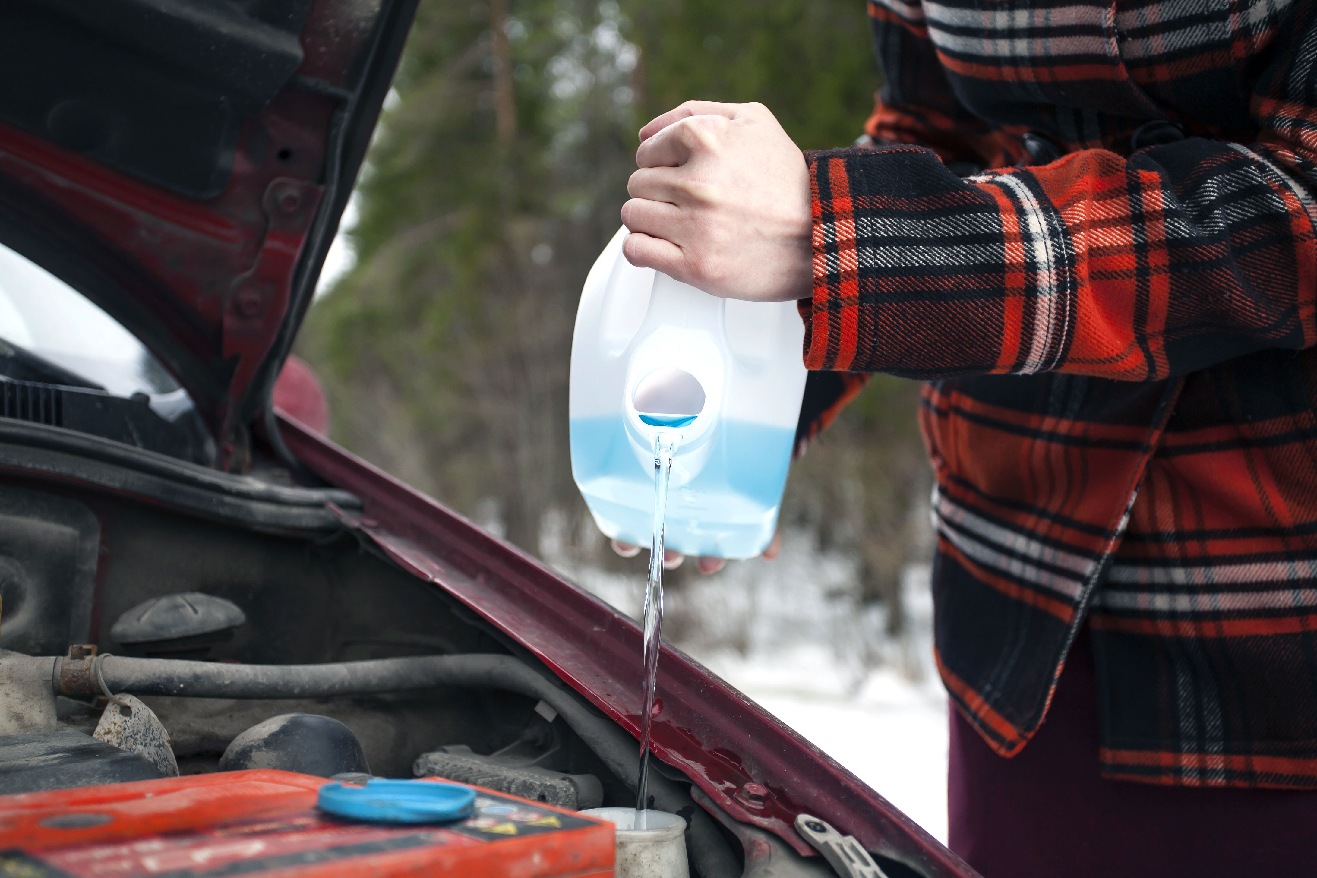 Winter driving survival kit: windshield washer fluid.