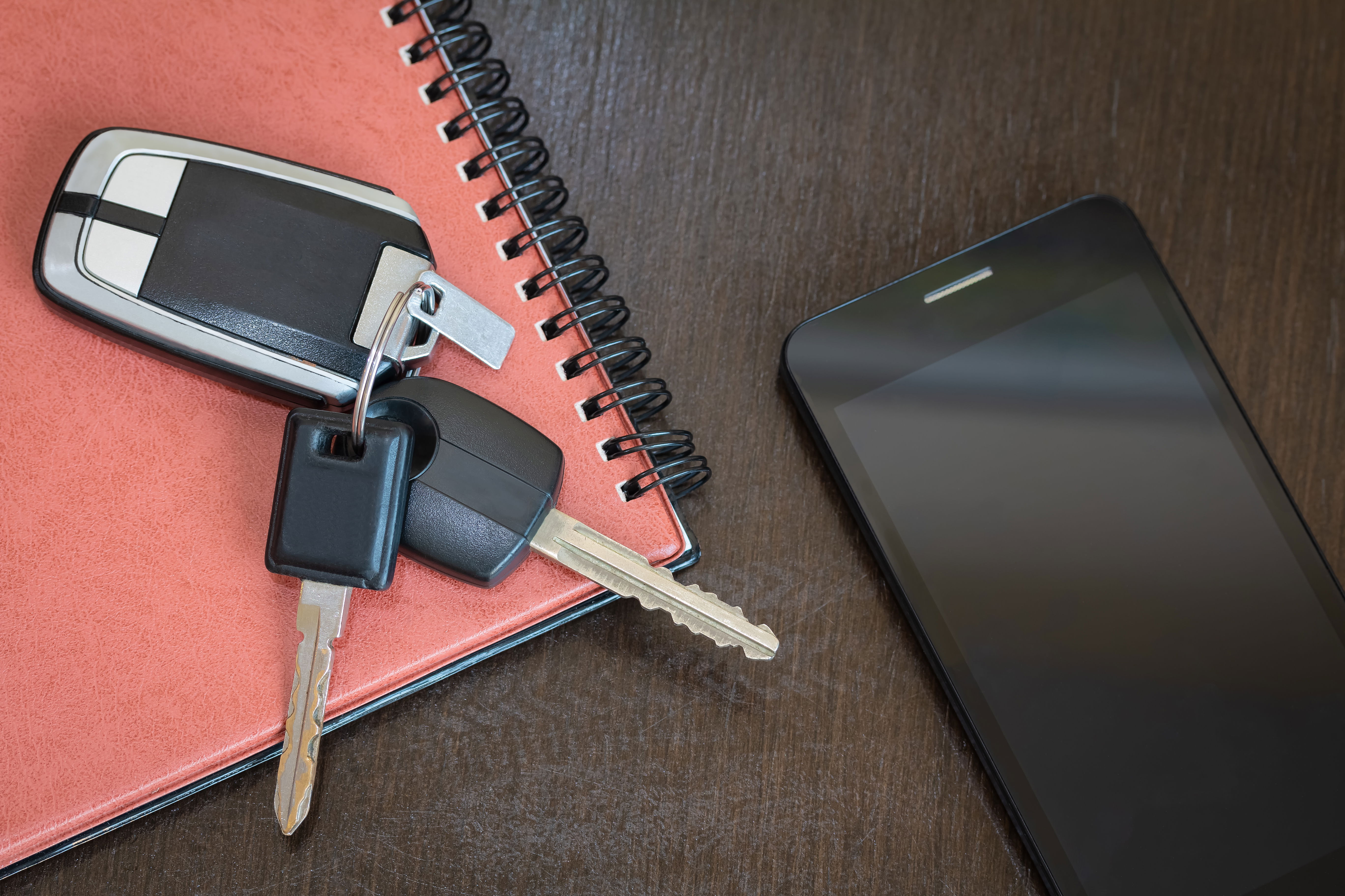 Holiday gift for car enthusiasts: key organizer.
