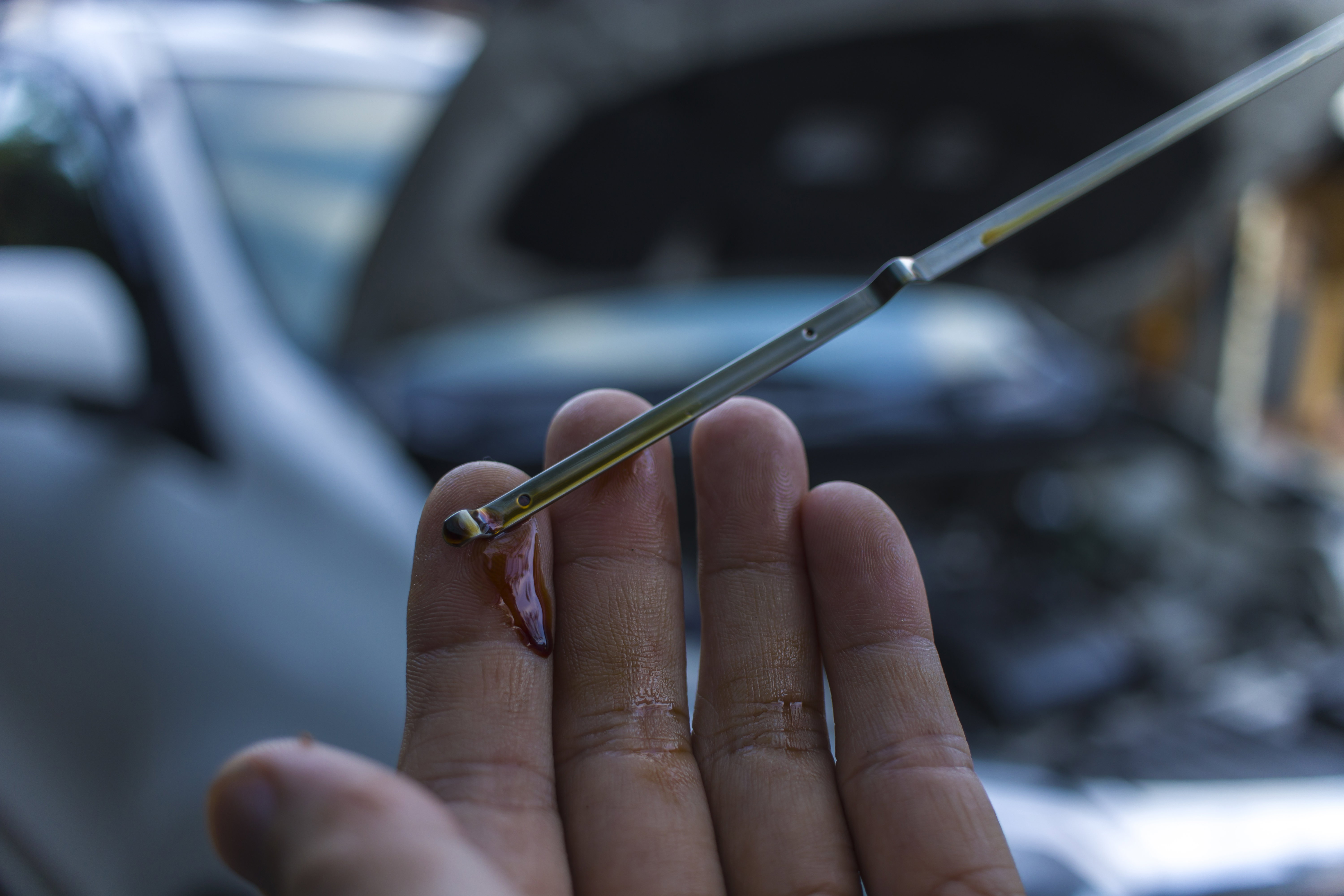 When Should You Check Your Oil?
