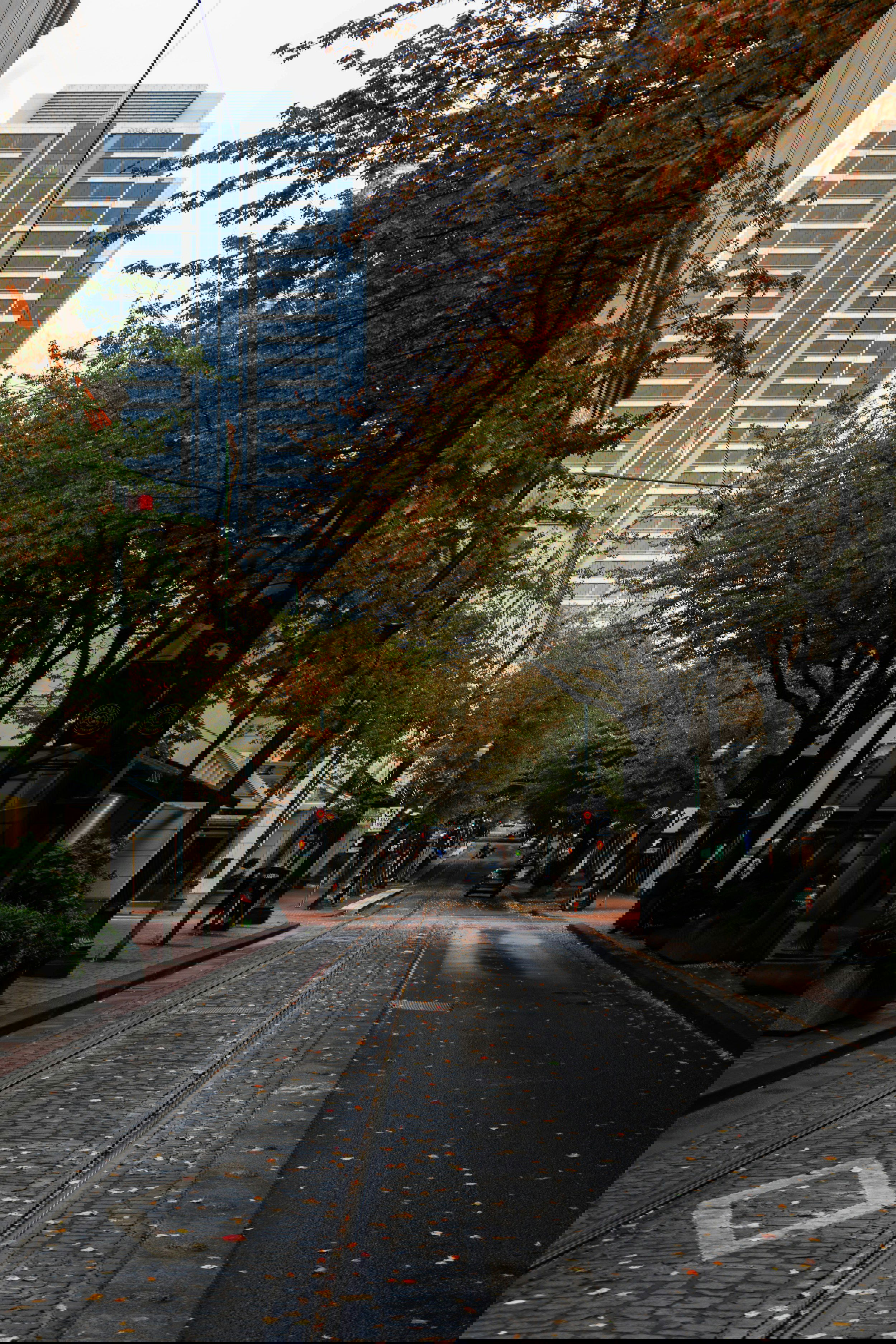 America's most walkable cities and towns: Portland.