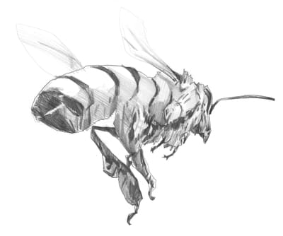 A little about me image