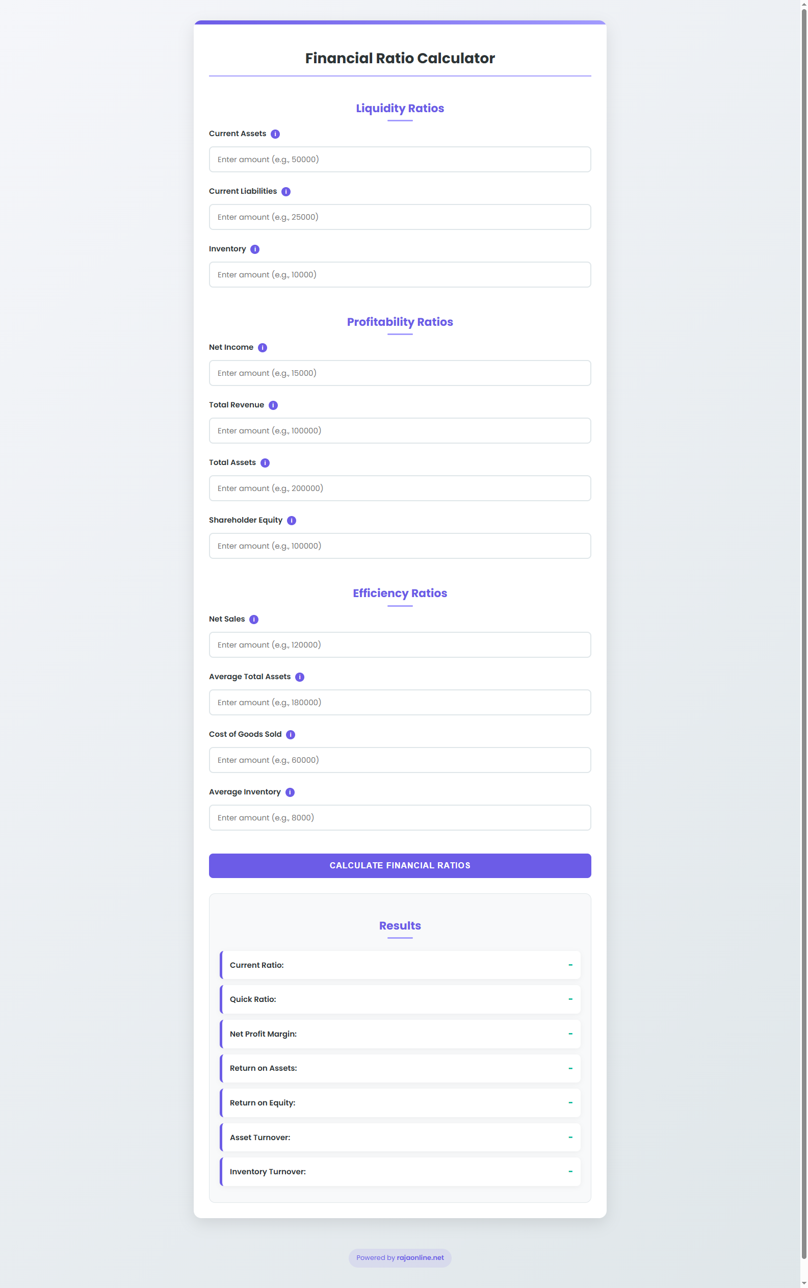 Financial Ratio Calculator