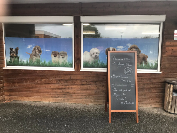 1 rue Copernic 33470 Le TEICH 