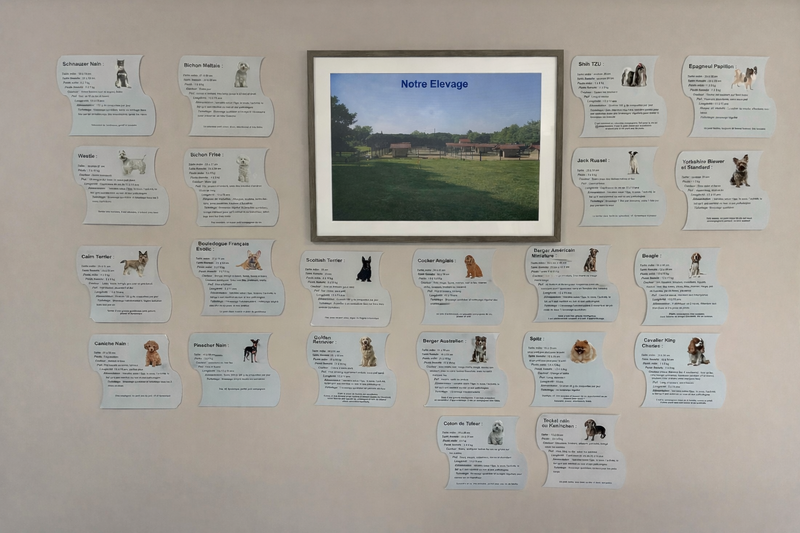 1 rue Copernic 33470 Le TEICH