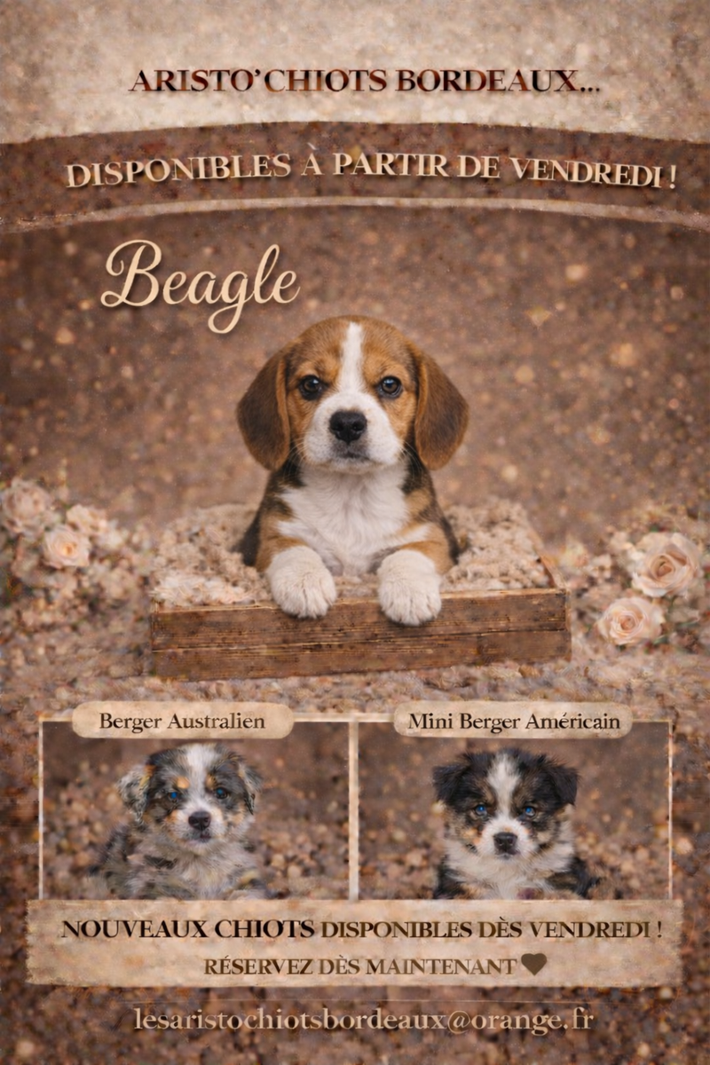 Vendredi 31 janvier, ils arrivent!