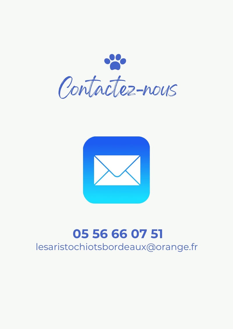 1 rue Copernic 33470 Le TEICH