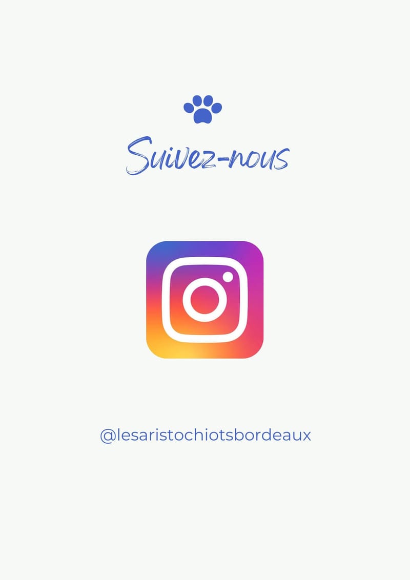 1 rue Copernic 33470 Le TEICH