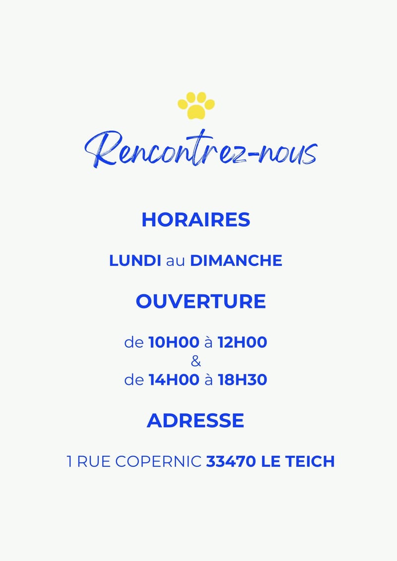 1 rue Copernic 33470 Le TEICH
