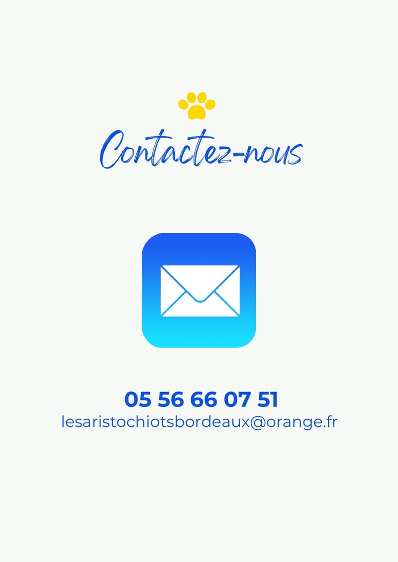 1 rue Copernic 33470 Le TEICH