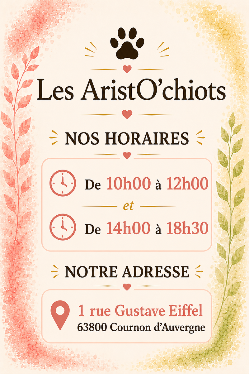 1 rue Gustave Eiffel 63800 Cournon Auvergne