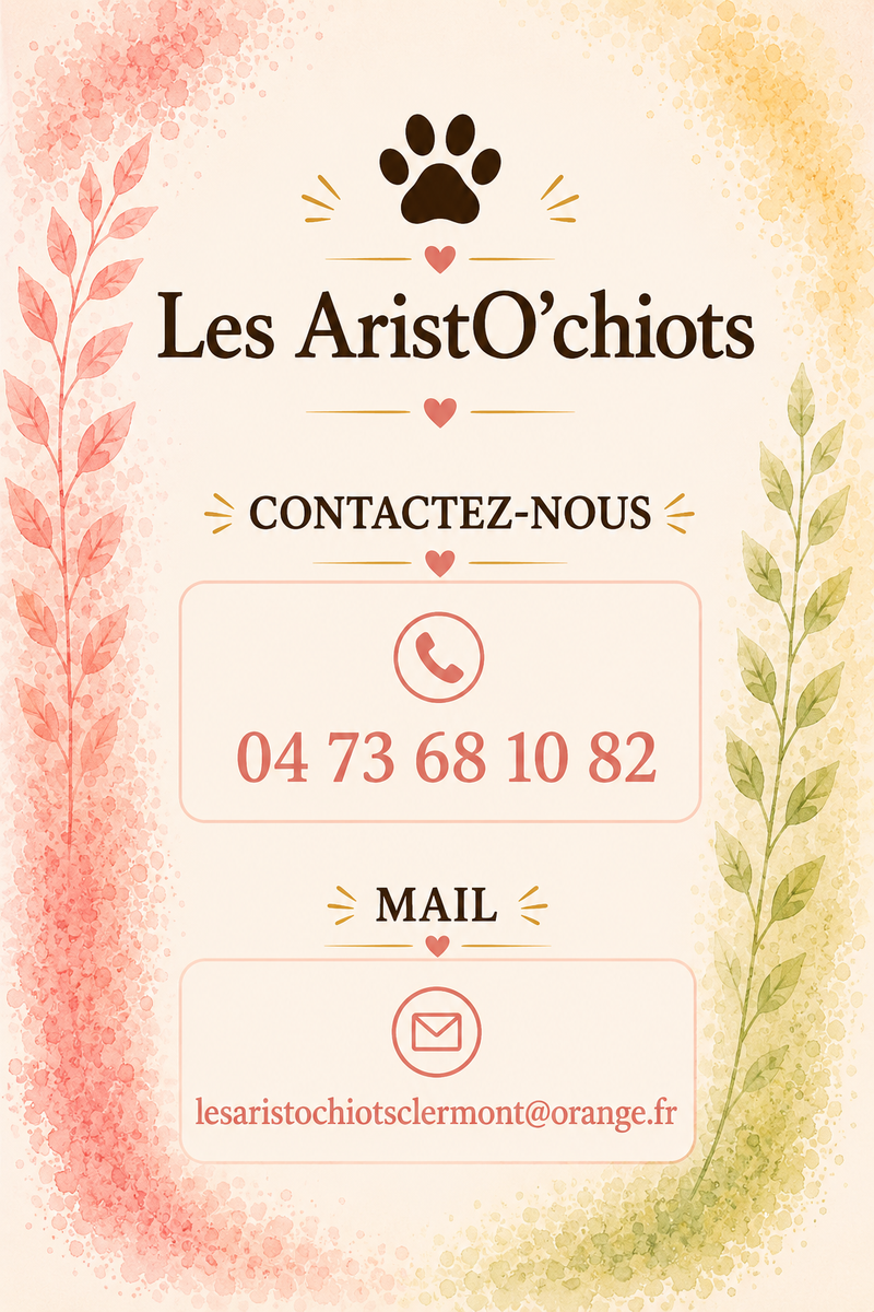 1 rue Gustave Eiffel 63800 Cournon Auvergne