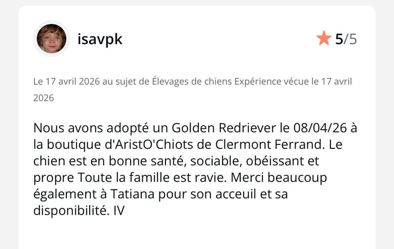 ⭐️ QUELQUES AVIS ⭐️